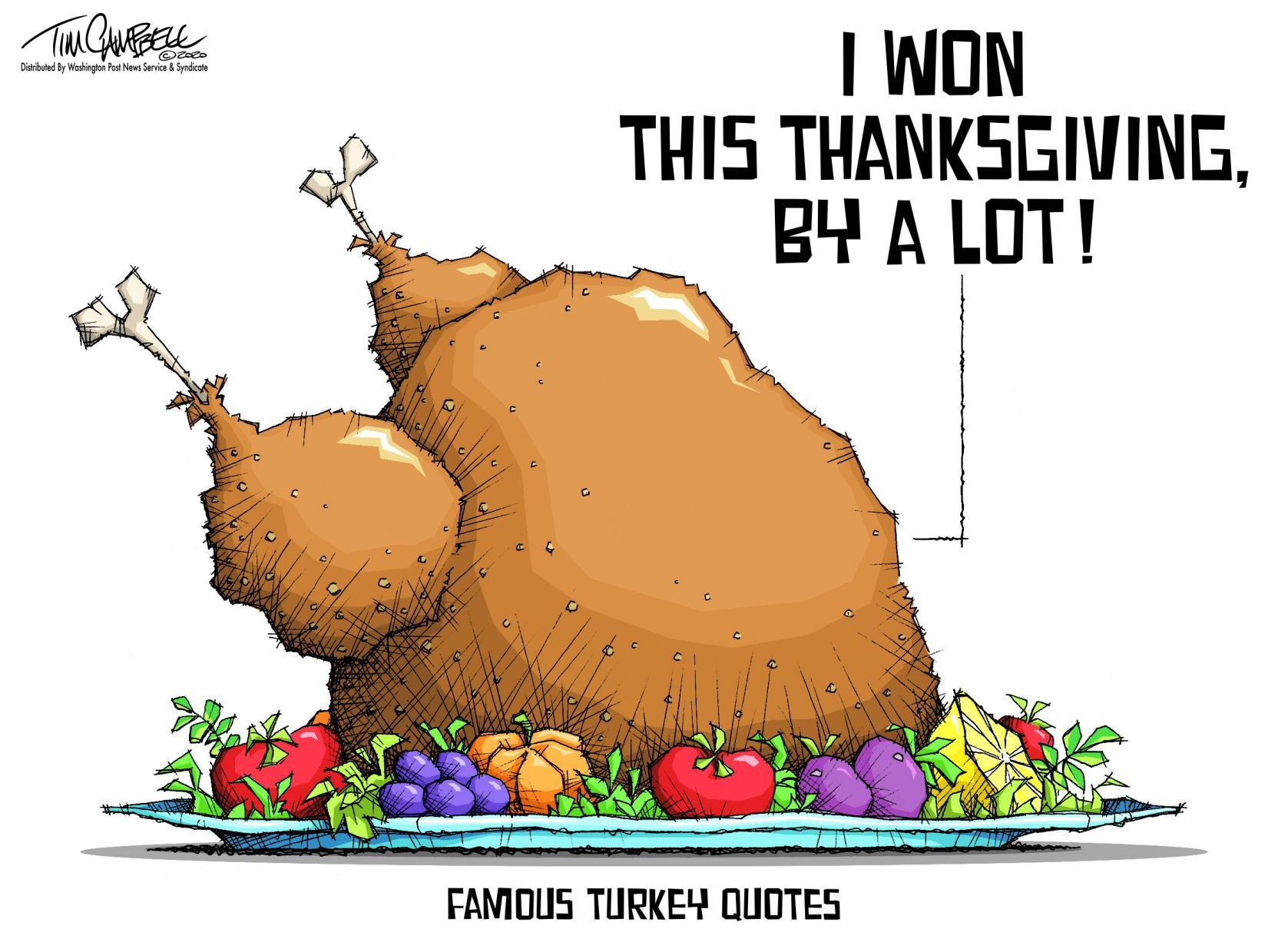 Tim Campbell Editorial Cartoons